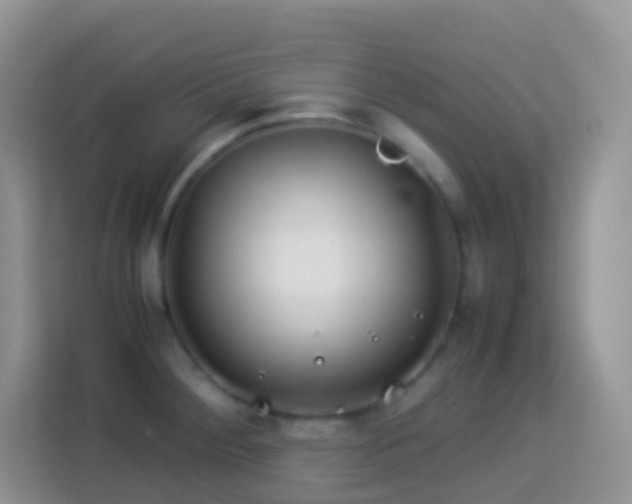 X0000114141284200910081257