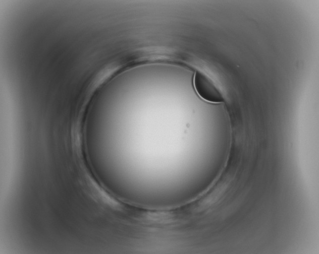 X0000114141285200910081257