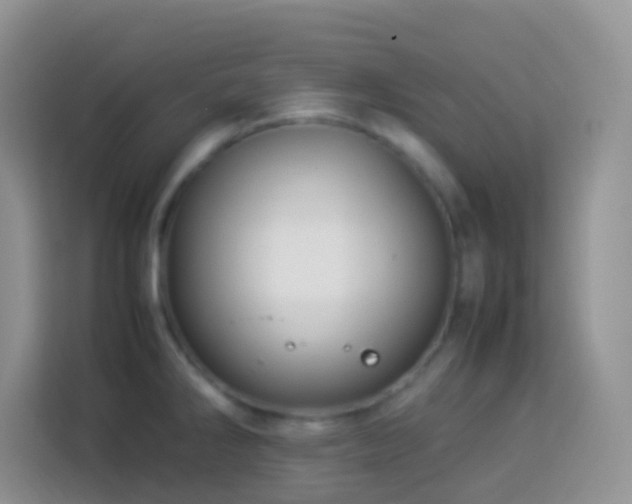 X0000114141286200910081257