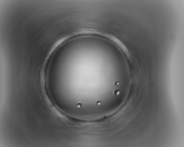 X0000114141287200910081257