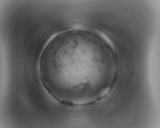 X0000114141291200910081257