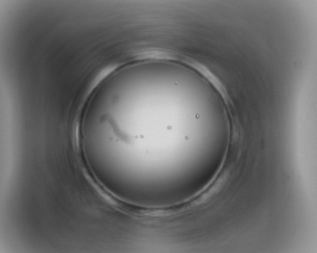 X0000114141293200910081257