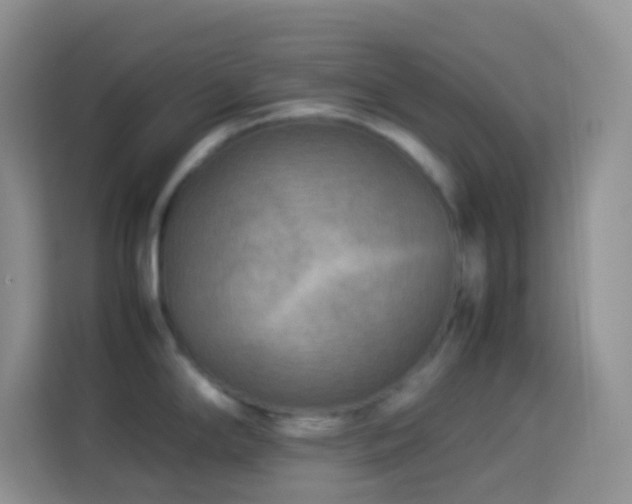 X0000114141294200910081257