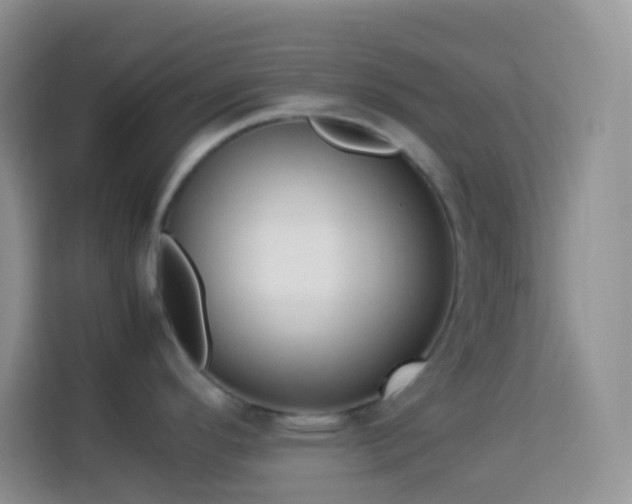 X0000114141296200910081257