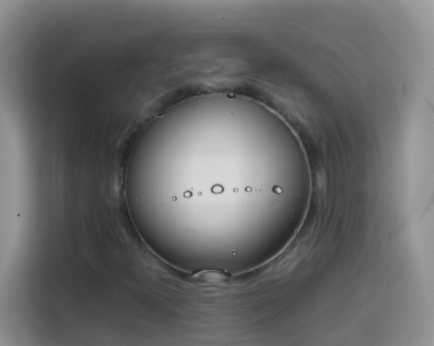 X0000114141300200910081256