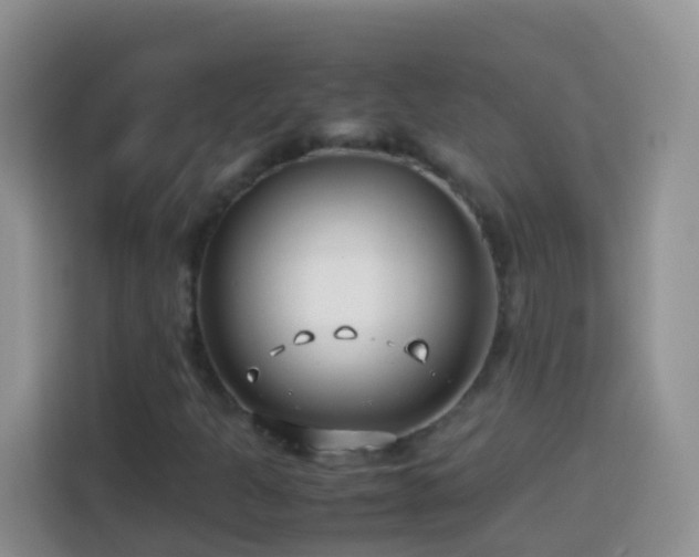 X0000114141301200910081256