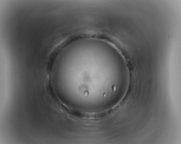 X0000114141302200910081256