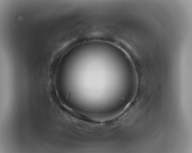 X0000114141303200910081256