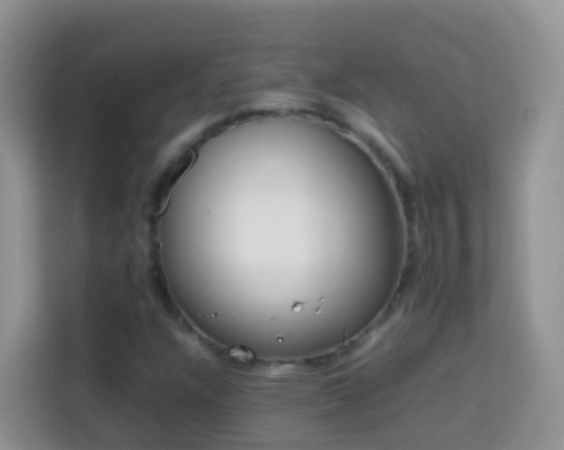 X0000114141304200910081257