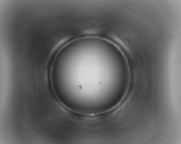 X0000114141307200910081257