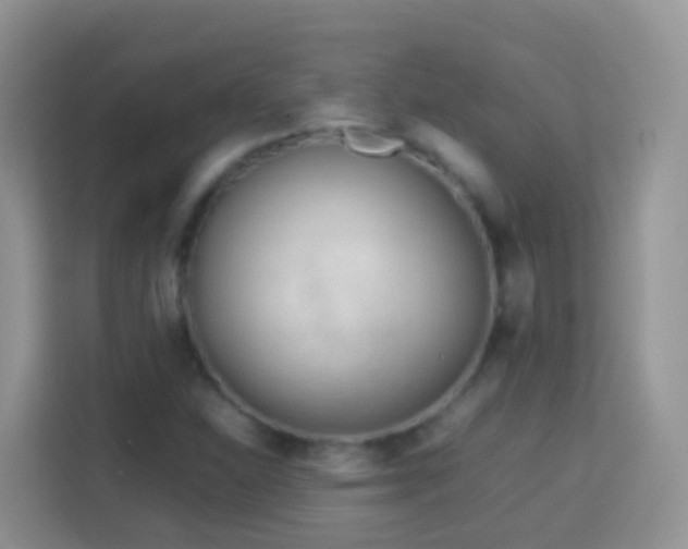 X0000114141310200910081257