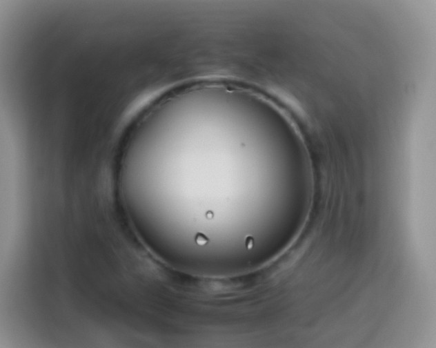 X0000114141311200910081257