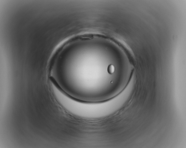 X0000114141312200910081257