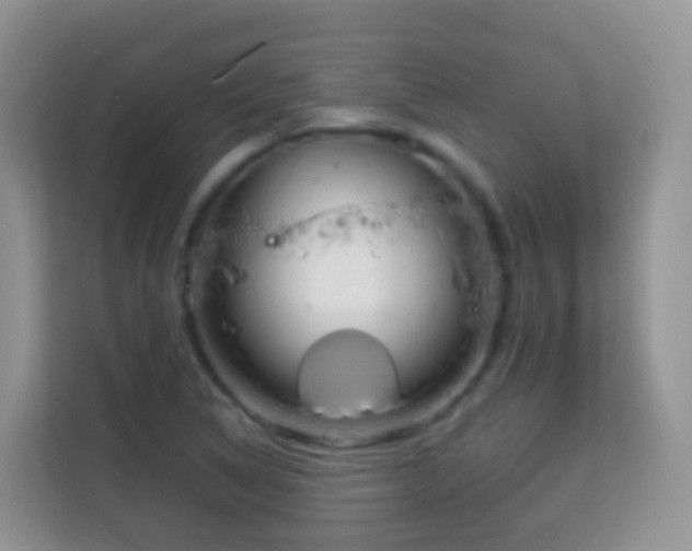 X0000114141314200910081257