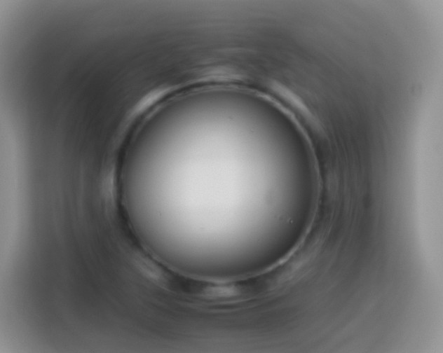 X0000114141315200910081257