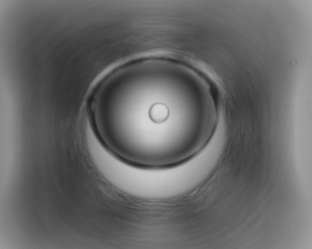 X0000114141316200910081257