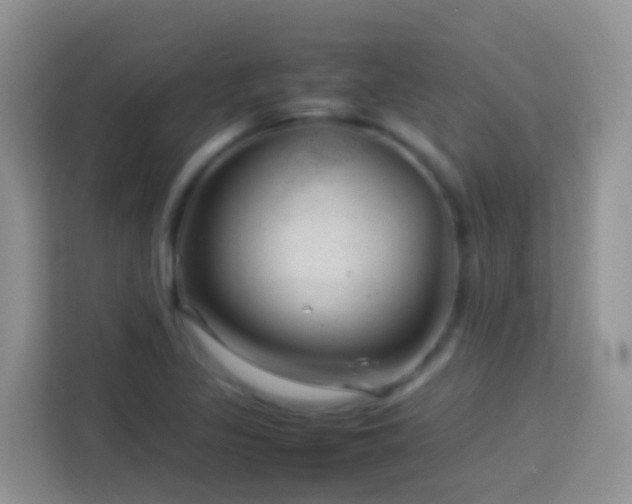 X0000114141317200910081257