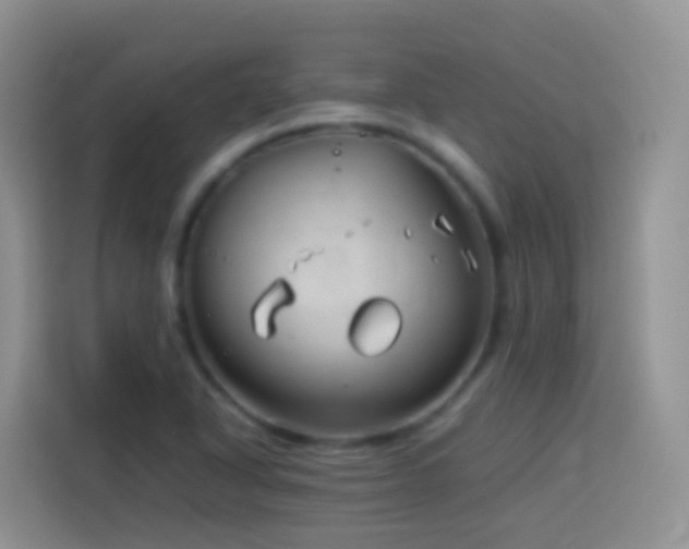 X0000114141318200910081257