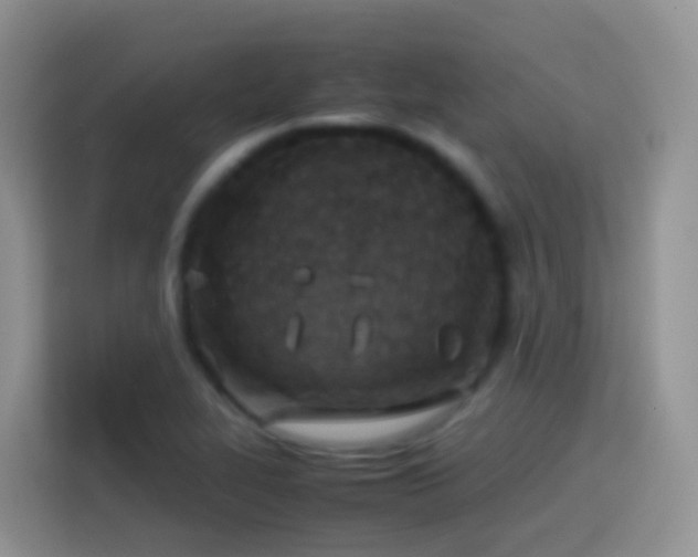 X0000114141319200910081257