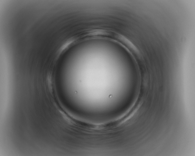 X0000114141321200910081257