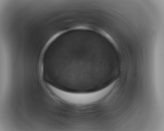 X0000114141323200910081257