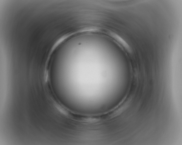 X0000114141324200910081257