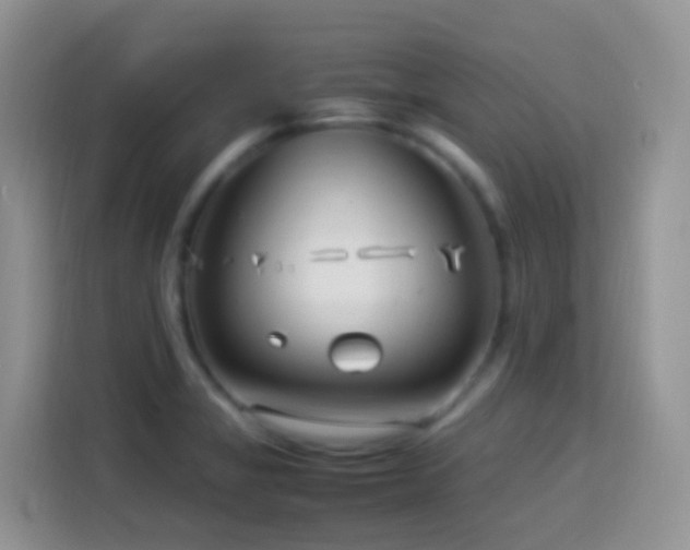 X0000114141325200910081257