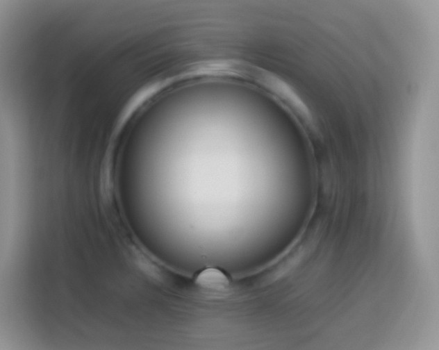 X0000114141328200910081257