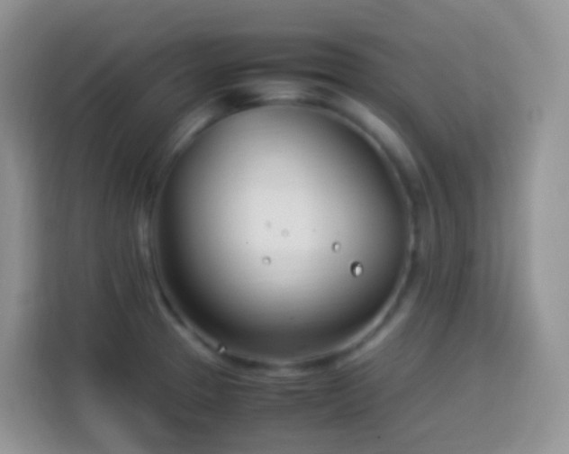 X0000114141329200910081257