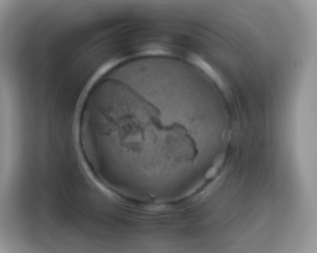 X0000114141331200910081257