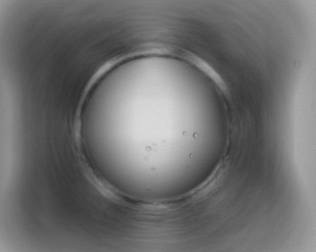 X0000114141332200910081257