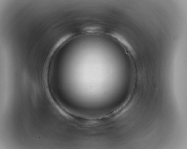 X0000114141333200910081257