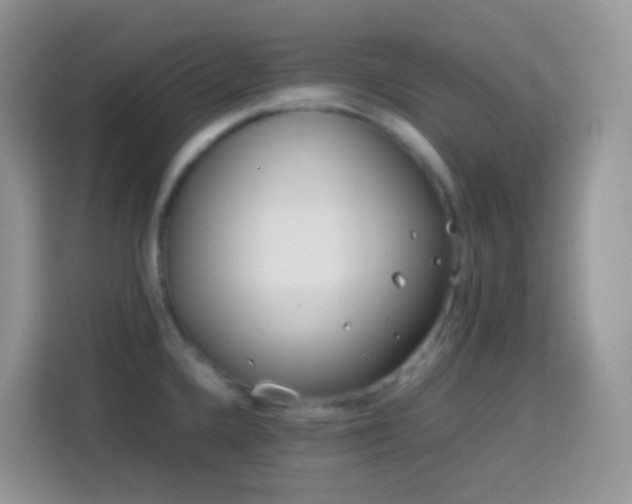 X0000114141336200910081257