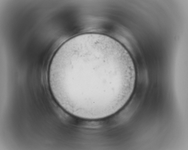 X0000114141338200910081257