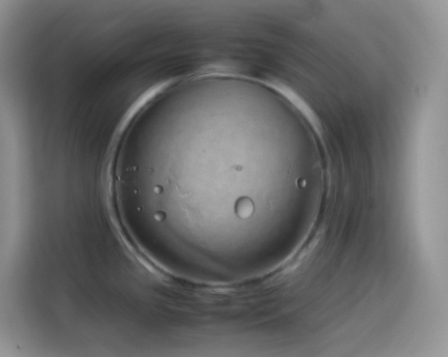 X0000114141341200910081257