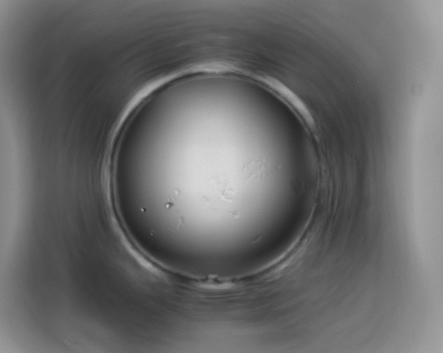 X0000114141343200910081257