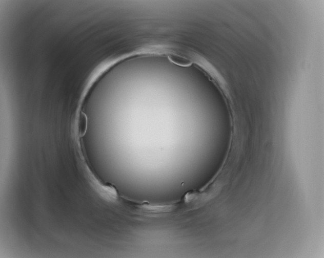 X0000114141344200910081257