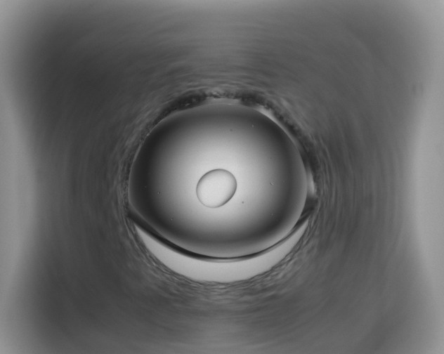 X0000114141345200910081256