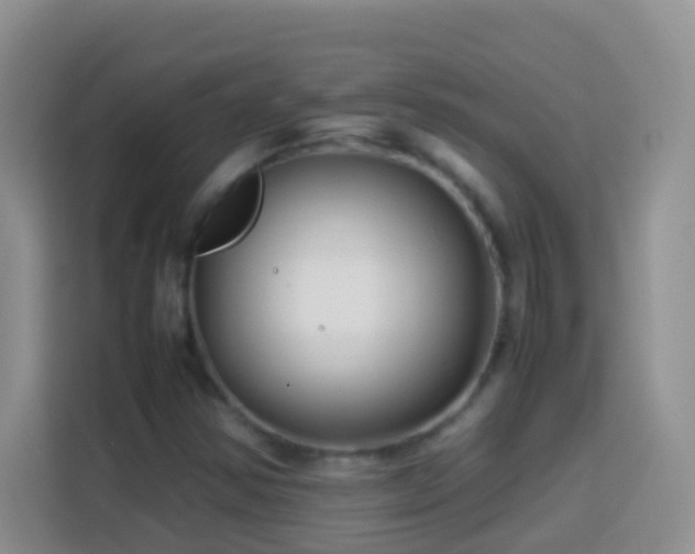 X0000114141354200910081256