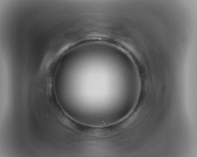 X0000114141355200910081256