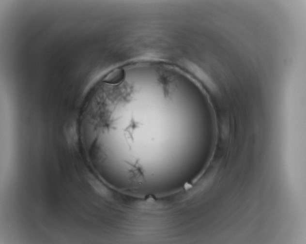 X0000114141356200910081256