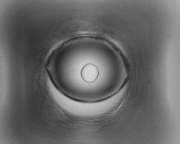 X0000114141357200910081256