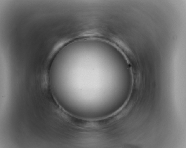 X0000114141358200910081256