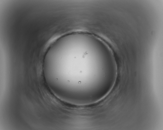 X0000114141359200910081256