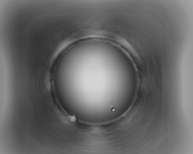 X0000114141360200910081256