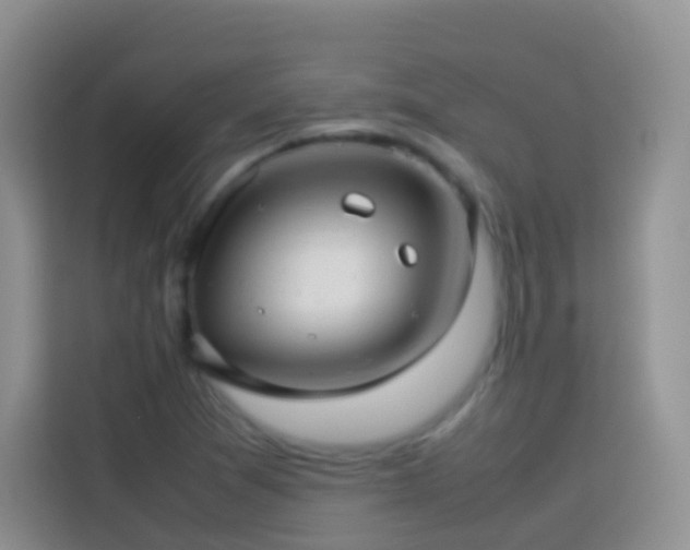 X0000114141361200910081256