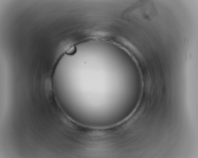 X0000114141362200910081256