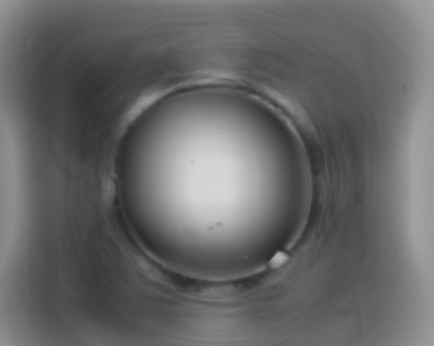 X0000114141363200910081256