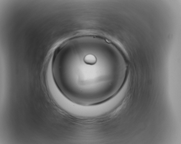 X0000114141365200910081256