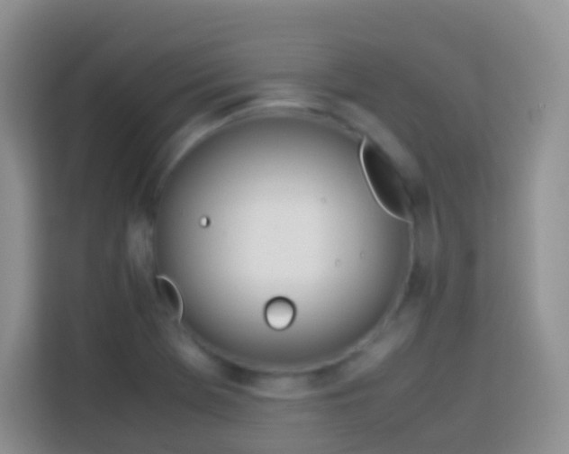 X0000114141369200910081256